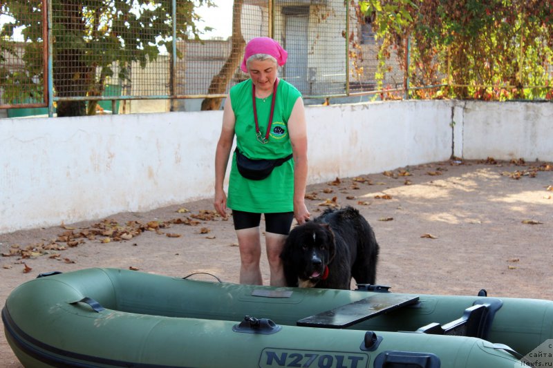 Фотография № 194257