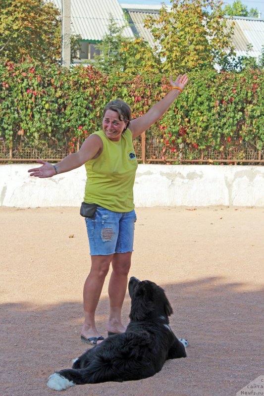 Фотография № 194258