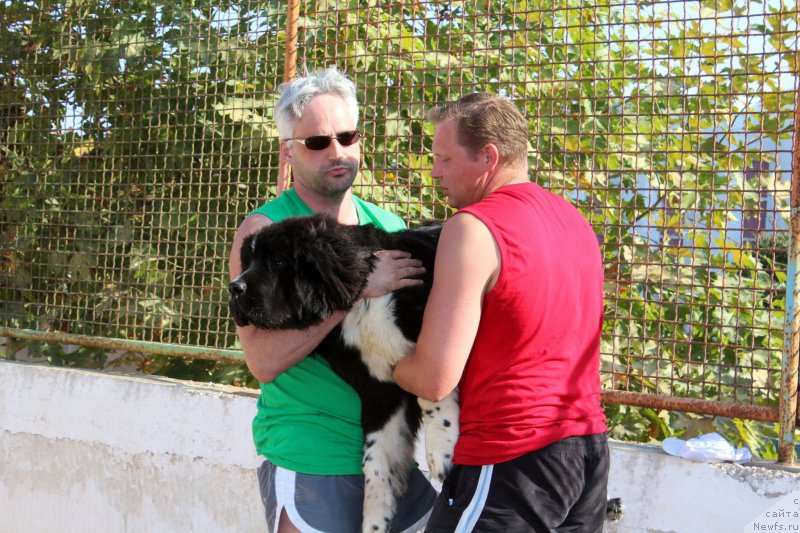 Фотография № 194259