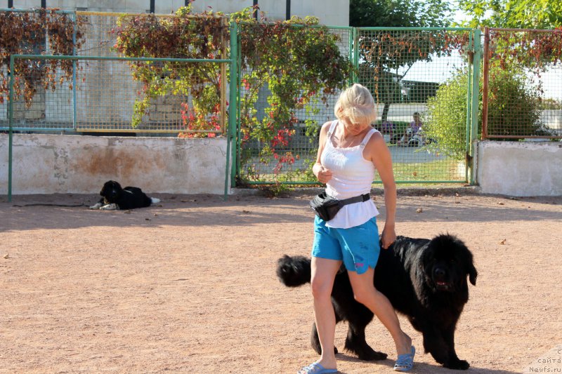 Фотография № 194261