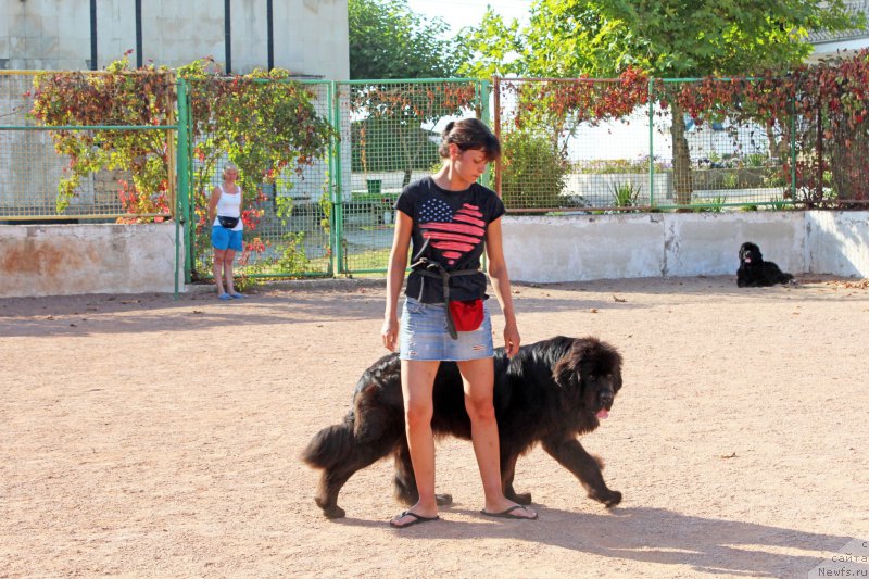 Фотография № 194265