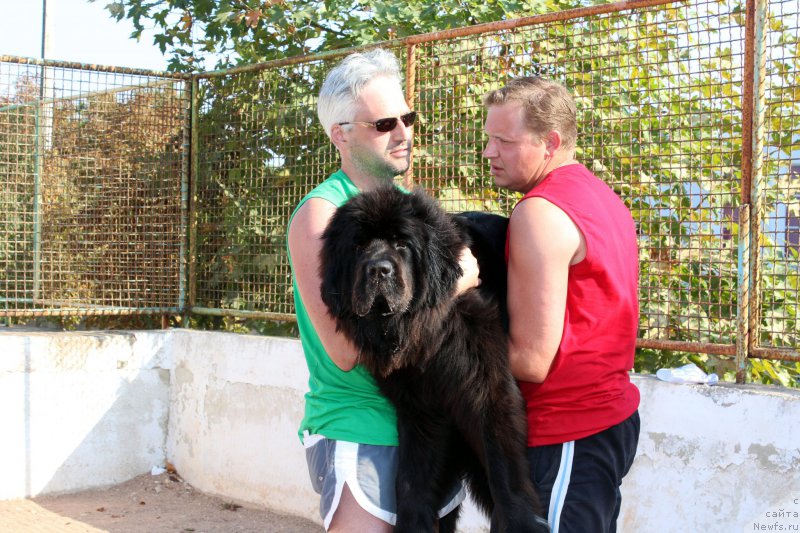 Фотография № 194266