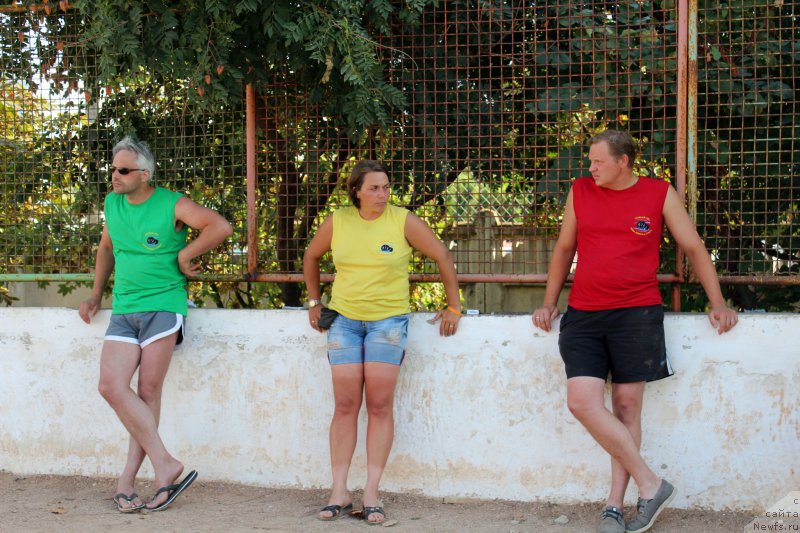 Фотография № 194272