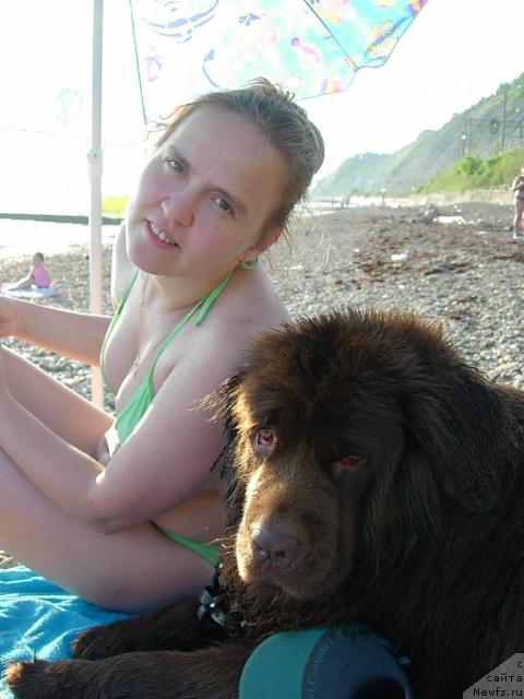 Фото: Диана Ларина, ньюфаундленд Лесная Сказка Изабелла