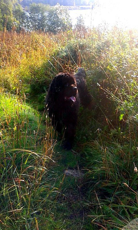 Фотография № 194302