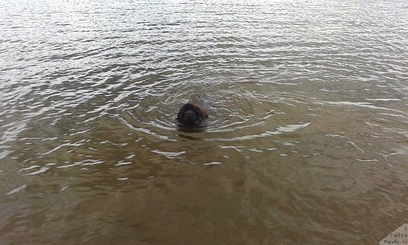 Фотография № 194303