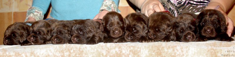 Фотография № 194304