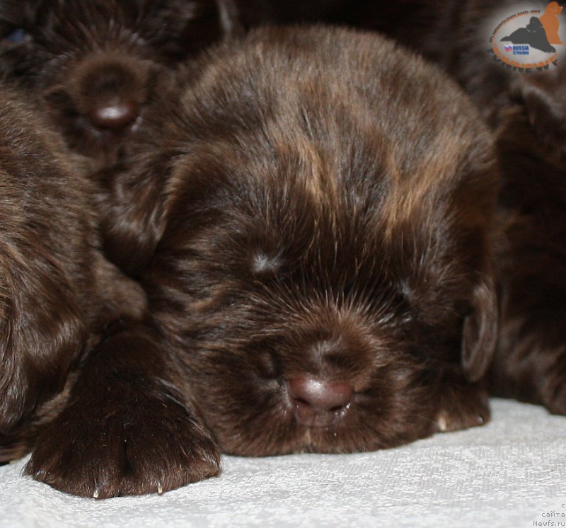 Фотография № 194314