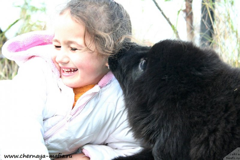 Фотография № 194325