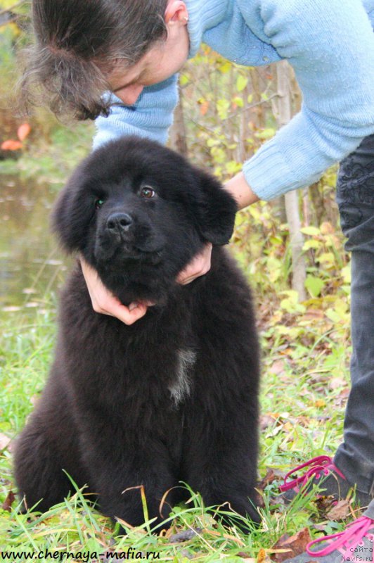 Фотография № 194332