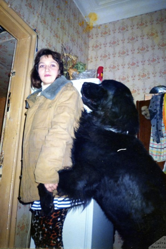 Фотография № 194350