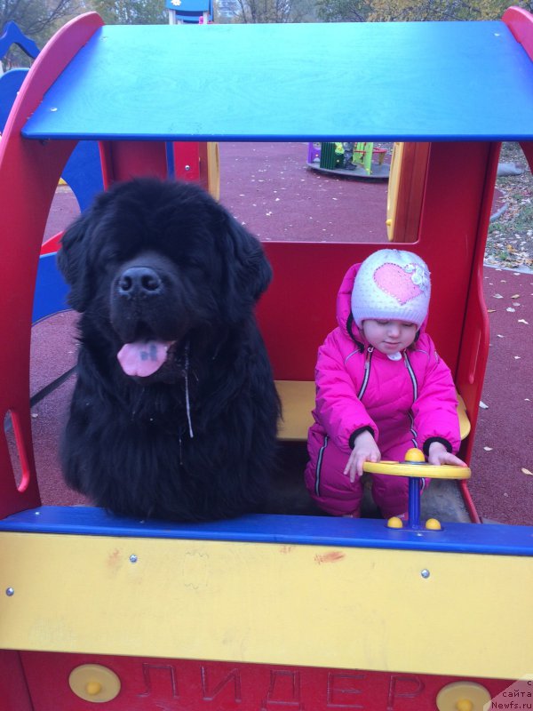 Фотография № 194358