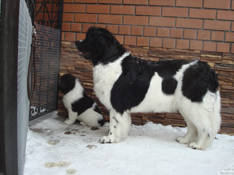 Фотография № 194359