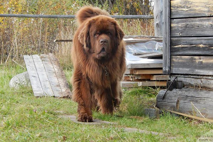 Фотография № 194388