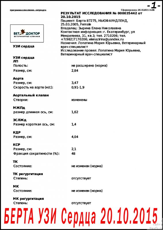 Фото: ньюфаундленд Беретта