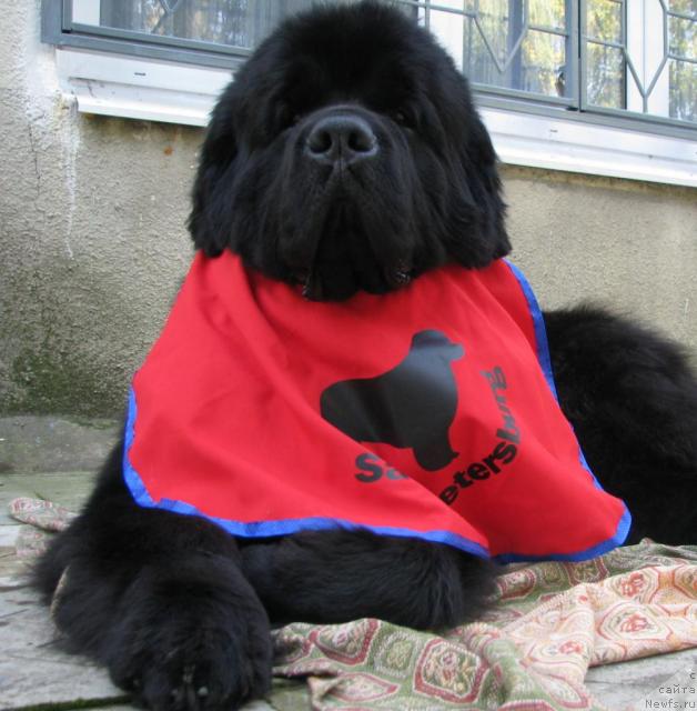 Фотография № 19441