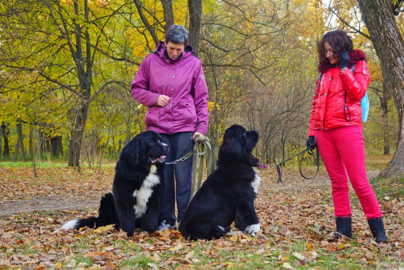 Фотография № 194426