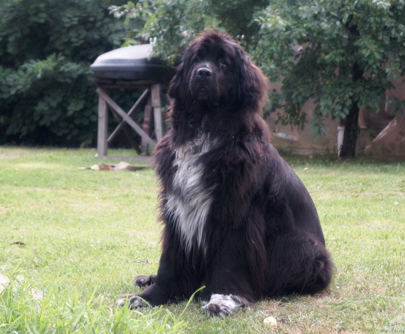 Фотография № 194428