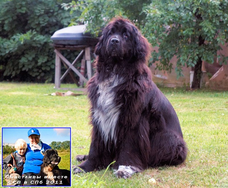 Фотография № 194432