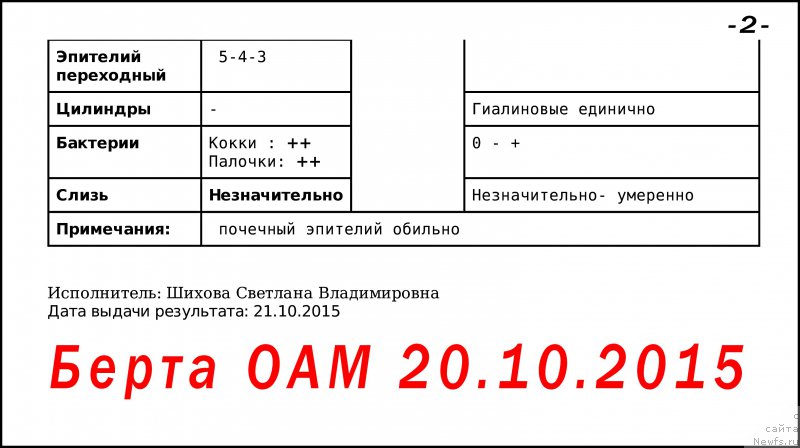 Фото: ньюфаундленд Беретта