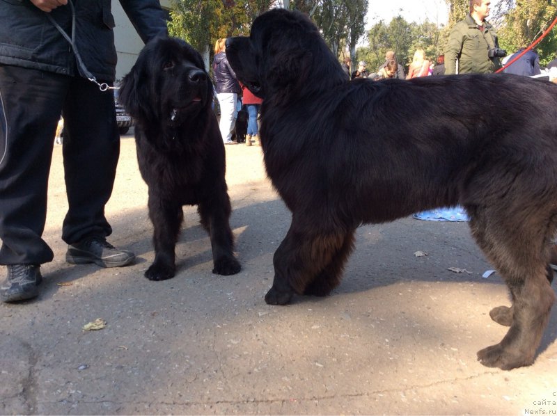 Фотография № 194451