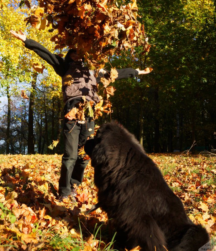 Фотография № 194455