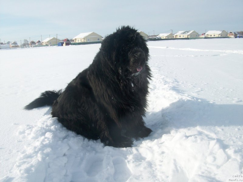 Фотография № 194469