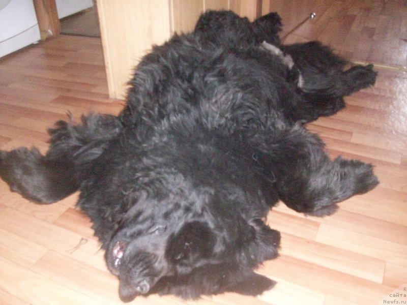 Фотография № 194471