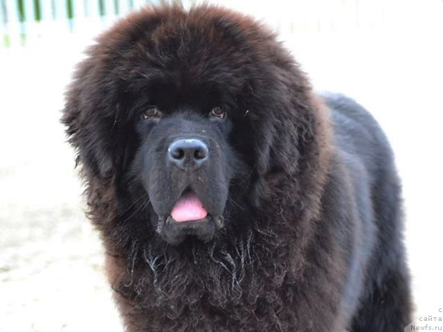 Фотография № 194531