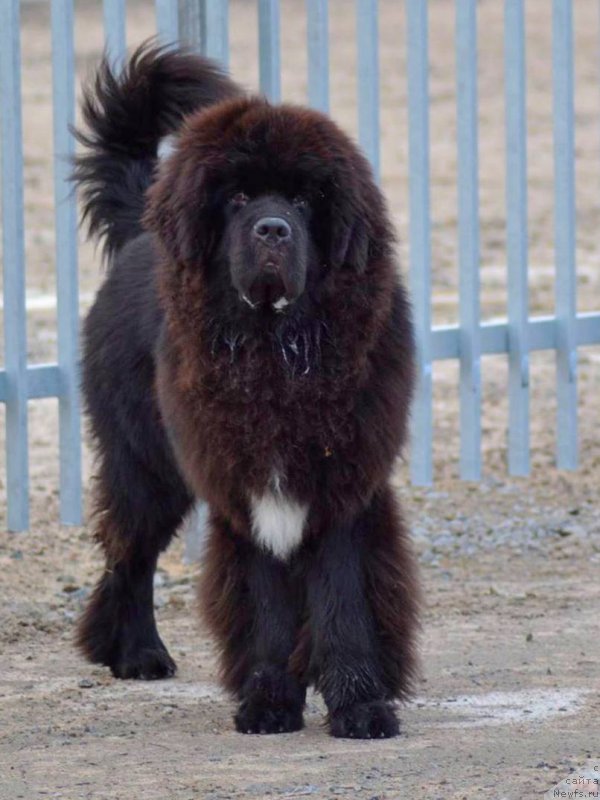 Фотография № 194532