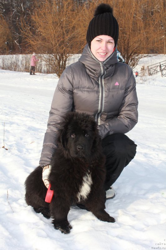 Фотография № 194564