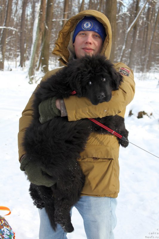 Фотография № 194565