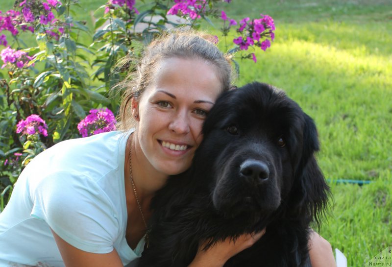 Фотография № 194566