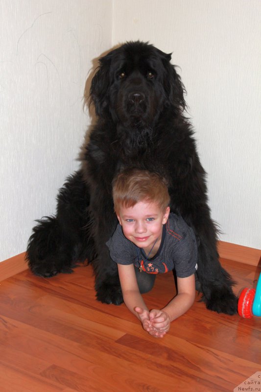 Фотография № 194569