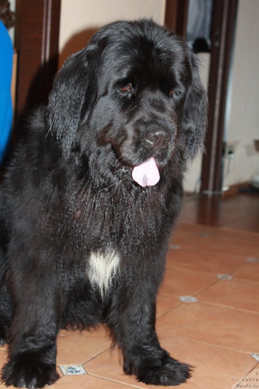 Фотография № 194570