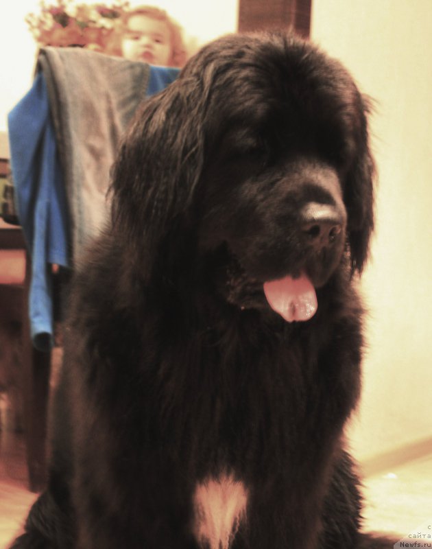 Фотография № 194571