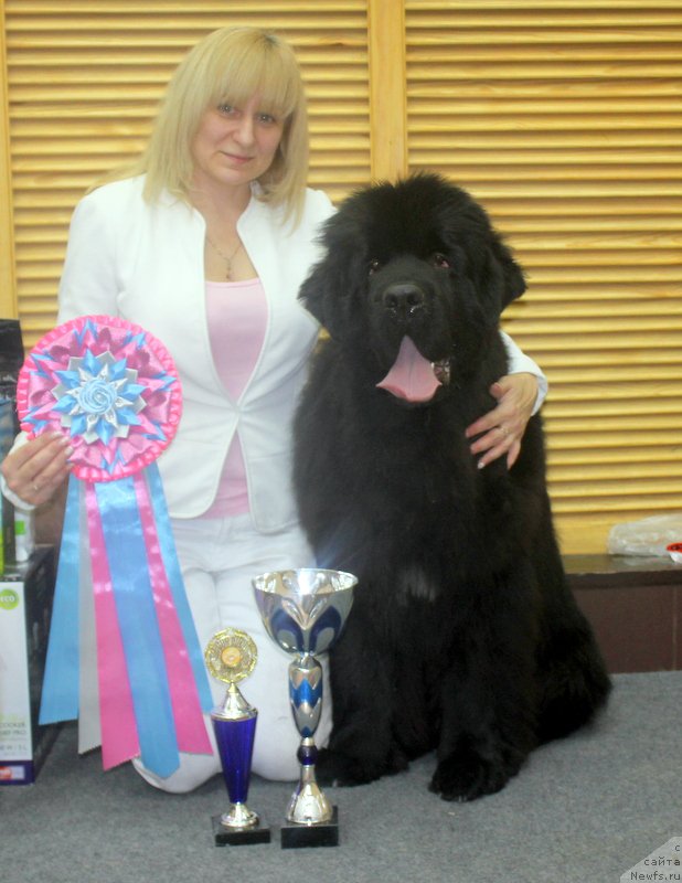 Фото: Мартин 12 мес.ЛКЮ, ЛЮ, ЛПП!! БЭСТ Юниоров-2!! БИГ второй группы-1