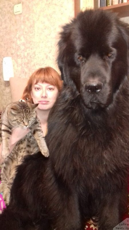 Фотография № 194620