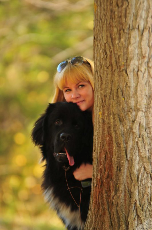 Фото: ньюфаундленд Люк Скайвокер, и Наташа