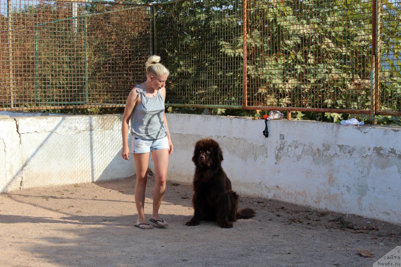 Фотография № 194639