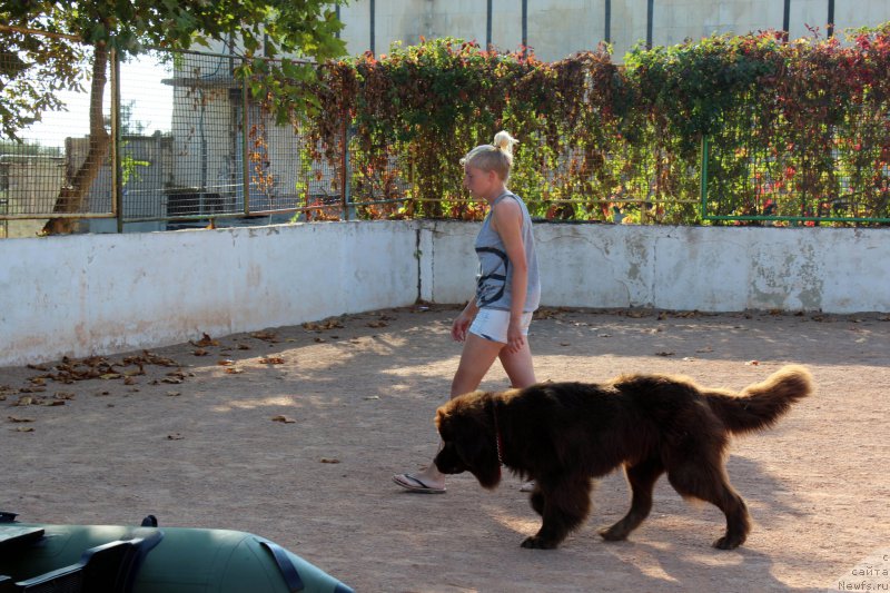 Фотография № 194640