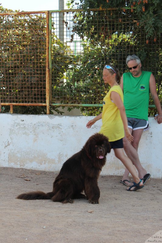 Фотография № 194642