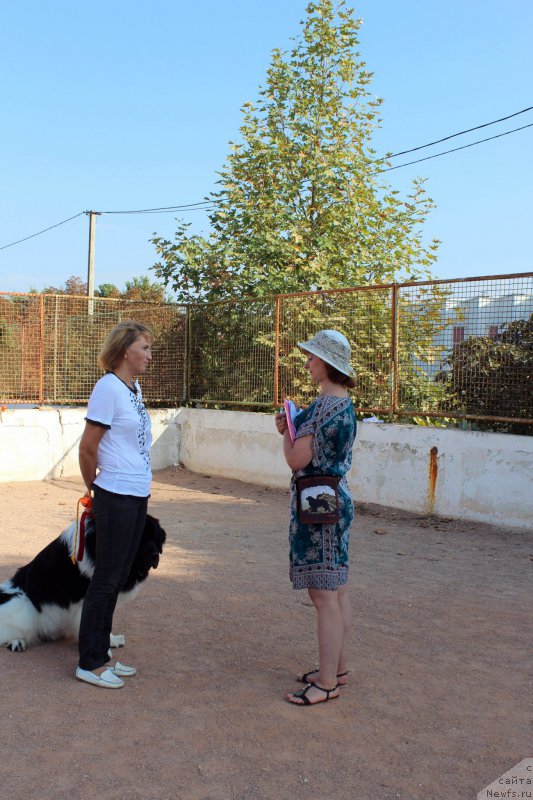 Фотография № 194646