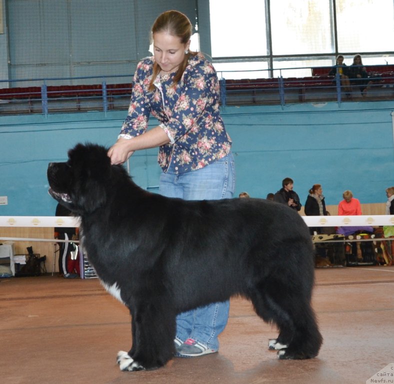 Фотография № 194656