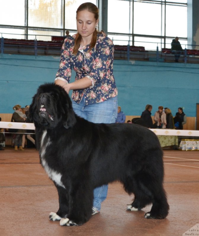 Фотография № 194657