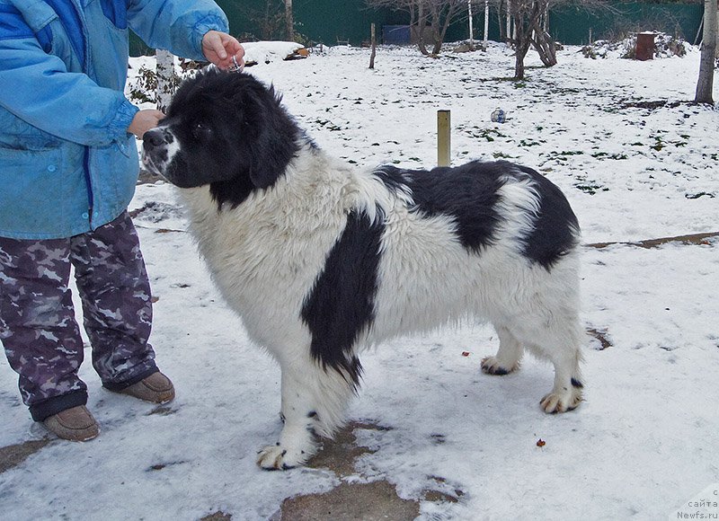 Фотография № 194666