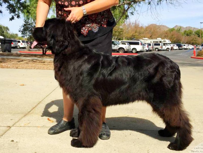 Фотография № 194671