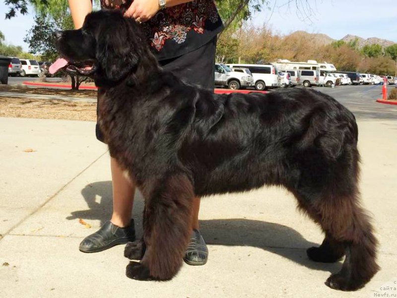 Фотография № 194672