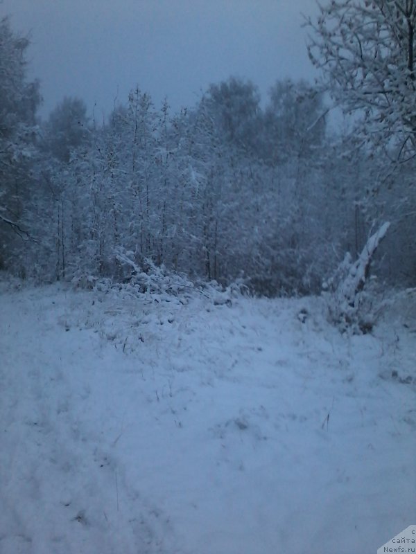 Фотография № 194709