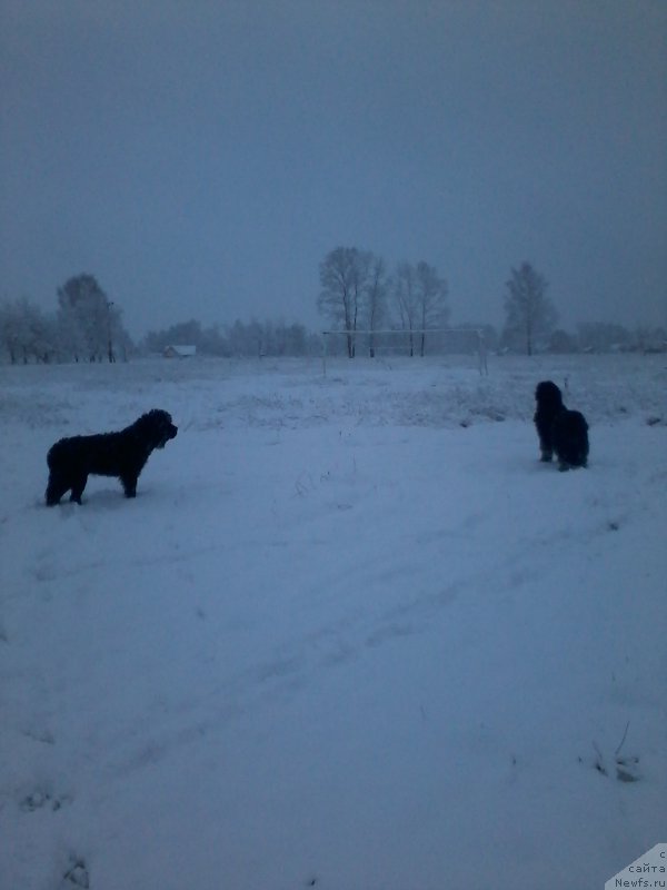 Фотография № 194710